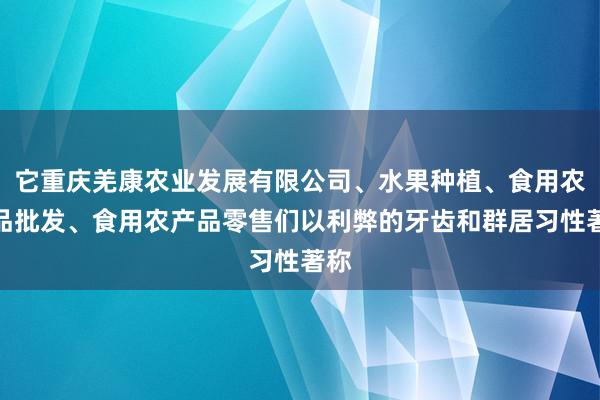 它重庆羌康农业发展有限公司、水果种植、食用农产品批发、食用农产品零售们以利弊的牙齿和群居习性著称