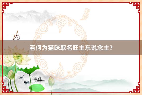 若何为猫咪取名旺主东说念主？